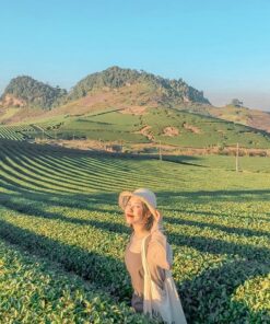 tour mộc châu 2 ngày 1 đêm